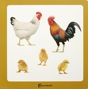 Tres pollitos | Nowordbooks