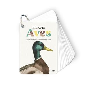 Fíjate: aves | Sanjuan Llorens, Anna/Baucells Colomer, Ramon | Cooperativa autogestionària