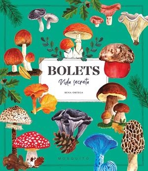 Bolets. Vida secreta | Ortega, Rena | Cooperativa autogestionària