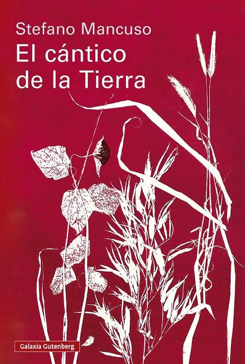 El cántico de la Tierra | Mancuso, Stefano