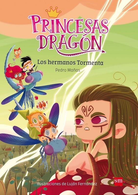 Princesas Dragón 5: Los hermanos Tormenta | Mañas Romero, Pedro
