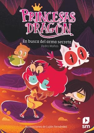 Princesas Dragón 13: En busca del arma secreta | Mañas Romero, Pedro | Cooperativa autogestionària