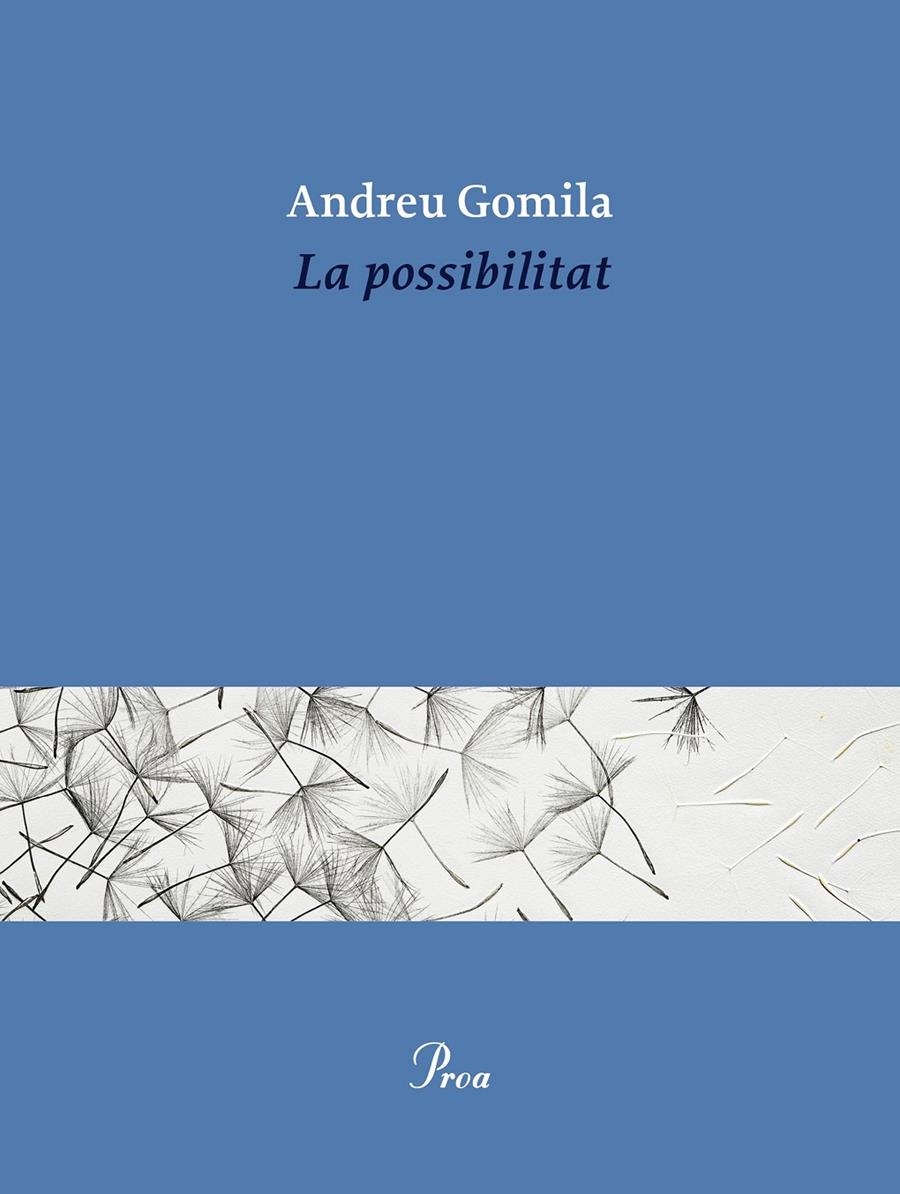 La possibilitat | Gomila Llobera, Andreu | Cooperativa autogestionària
